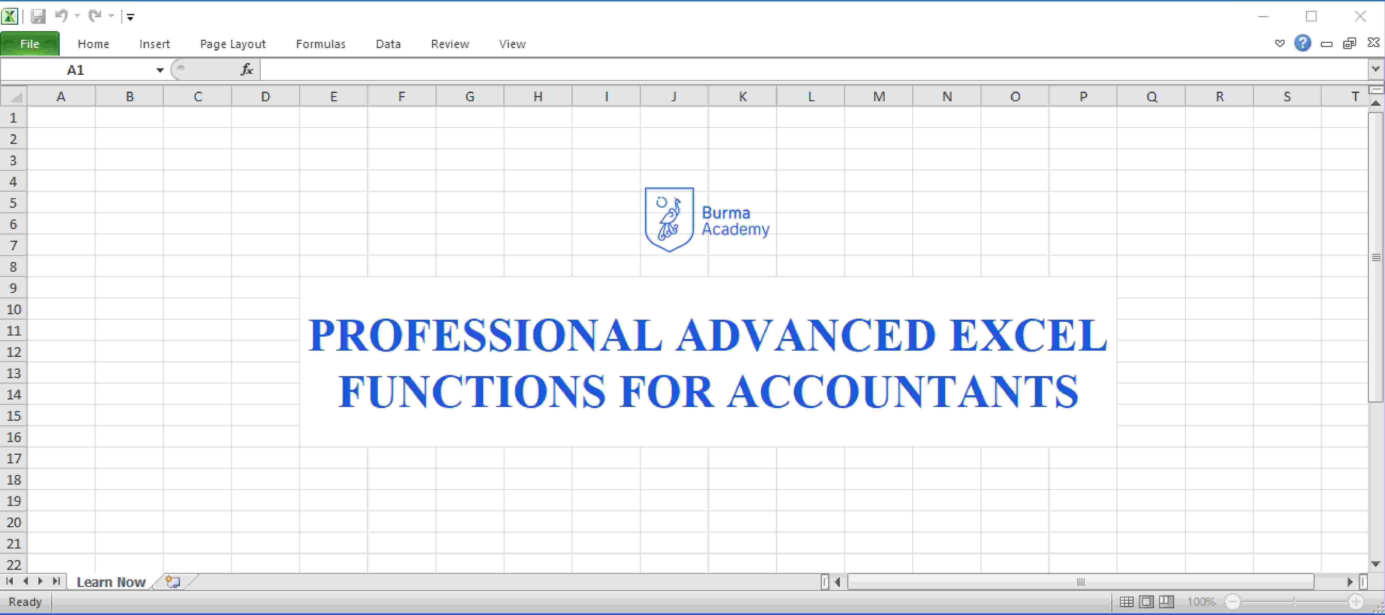  Professional Advanced Excel Functions BA003