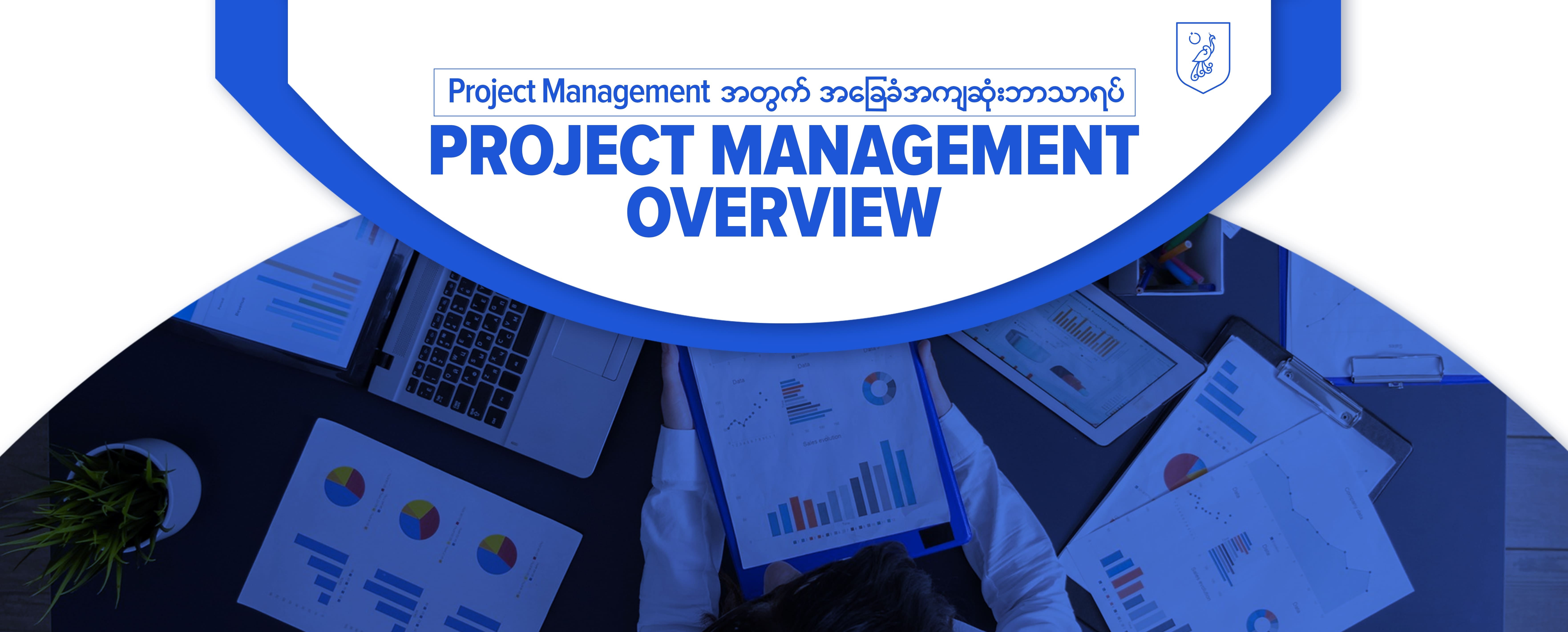 Project Management Overview BA005