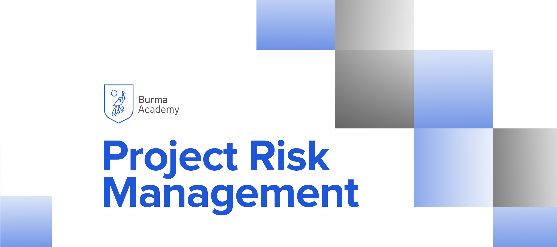 Project Risk Management BA026