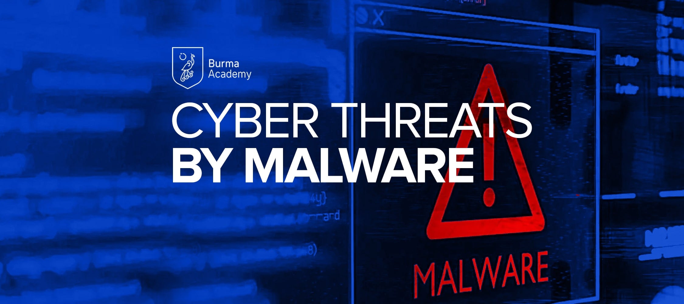 Cyberthreats by Malware HPI003
