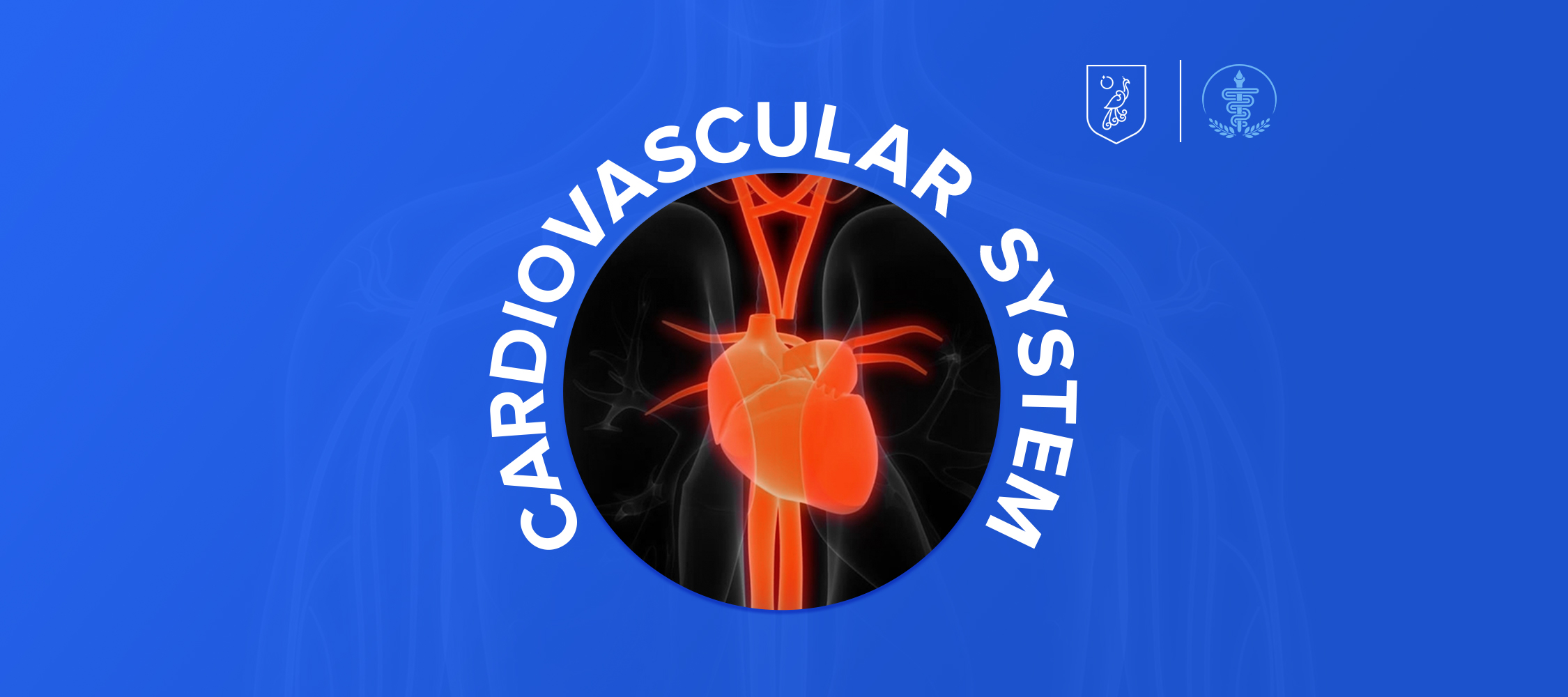 Cardiovascular System MH001